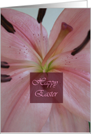 Happy Easter, pink...