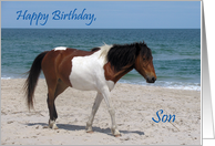 Birthday to Son,...