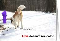 Love Doesn’t See Color card