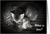 What is Love - Like...