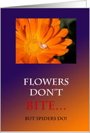 Flowers Don't Bite -...