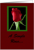 A Single Rose -...