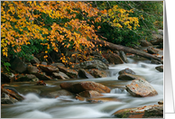 Autumn River...