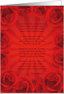 Red Rose Anniversary...