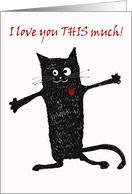 , crazy black cat.I...