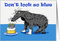 Blue Birthday, sad...