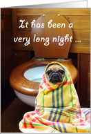 pug by toilet.thanks...