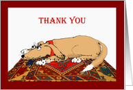 thank you, brown dog...