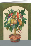 Happy Birthday,velvet painting of tree, parrots, fruit, and birds card