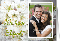 We have Eloped,white plum blossom, photocard. card