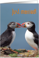 Just married, two...