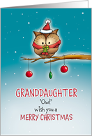 Granddaughter - Owl...