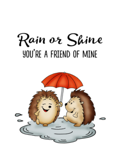 Rain or Shine - You...