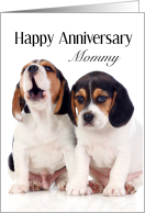 Anniversary card...