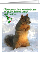 Christmas, squirrel...
