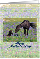 Mother's Day, mare...