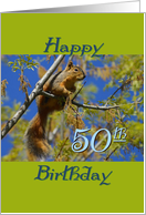 Birthday, 50th,...