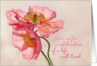 Celebration of life invitation, pink & peach poppy photo on cream card