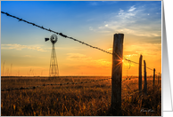 Barb Wire and...