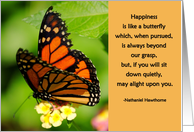 Butterfly Happiness...