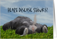 Heart Disease Stinks...