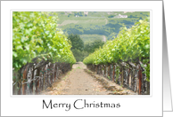 Merry Christmas Napa...