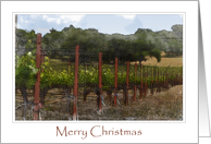 Merry Christmas Napa...