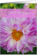 Get Well Prayer with...