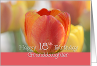 Granddaughter 18th...