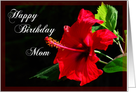 Happy Birthday Mom...