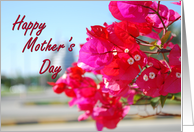 Happy Mother's Day -...