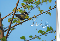 Happy Norooz - bird...