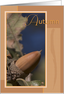 Acorn on Tree Autumn Season card