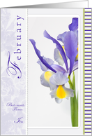 Iris Florals for...