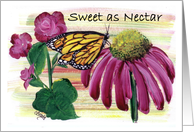 Sweet as Nectar...