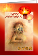 Year of the Monkey,...