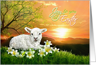 Joy to You at Easter...