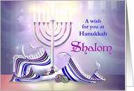 Shalom Hanukkah with...