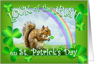 Happy St. Patrick’s Day Lucky Squirrel with Rainbow & Shamrocks card