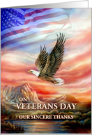 Veterans Day Thanks,...