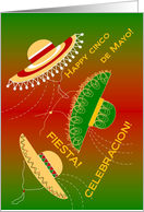 Happy Cinco de Mayo!