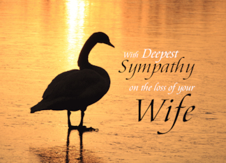 Swan Silhouette...