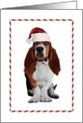 Christmas Basset Hound with a Santa Hat card