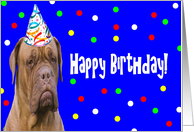 Happy Birthday Dogue...