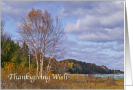 Thinksgiving Wish...