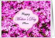 Happy Mother's Day...