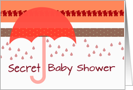 Secret Baby Shower...