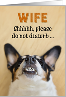 Wife - Funny...