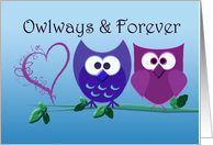 Owlways and Forever,...