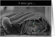 I miss you-Cat
